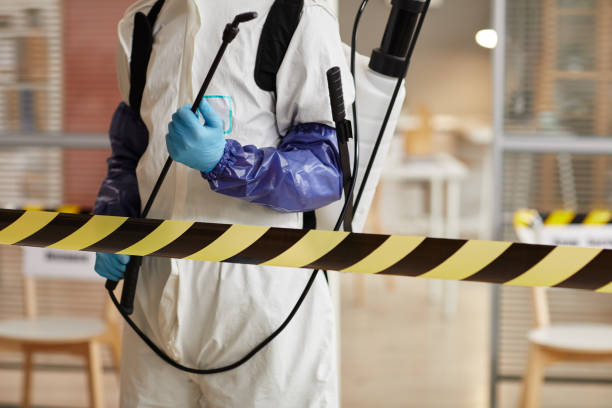 Professional Blood Cleanup technician working in Huntington, TX
